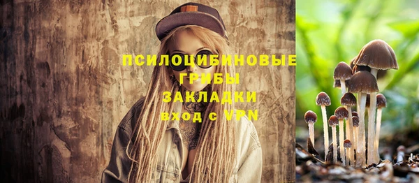 мескалин Осташков