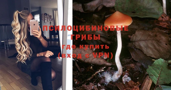 шишки Остров