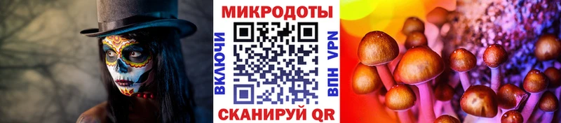 Купить закладки  Нововоронеж  Галлюциногенные грибы мухоморы 
